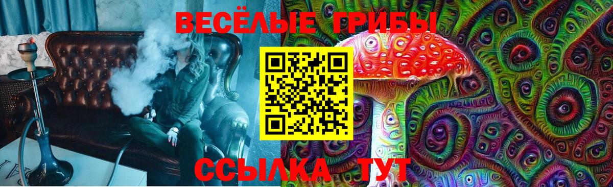 где купить наркоту  Вход с VPN  Нальчик  Псилоцибиновые грибы мухоморы 